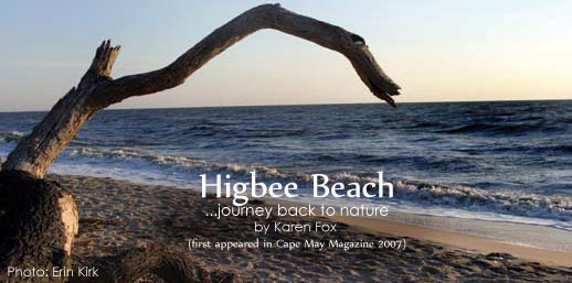 Higbee Beach Journey Back to Nature by Karen Fox