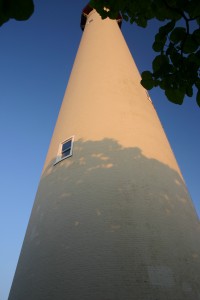 lighthouse and zoo tmm 009 Photograph by Thomas Michael Mann