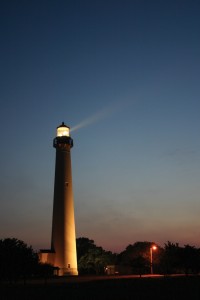 lighthouse and zoo tmm 054 Photograph by Thomas Michael Mann