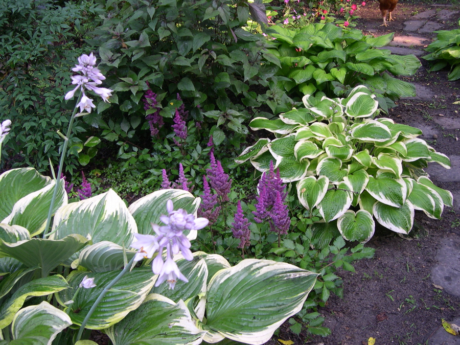 Add perennials for years of bloom! Blog