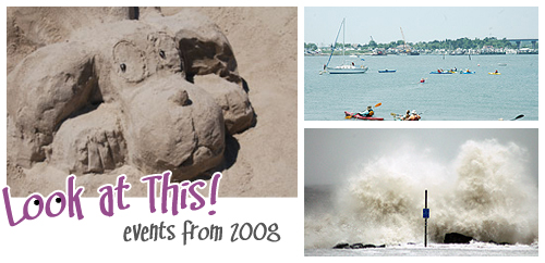 Look at This! Events from 2008