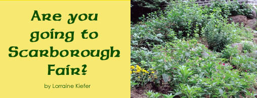 Are you going to Scarborough Fair? By Lorraine Kiefer