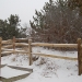 winter-fence