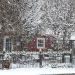 katies-yard-snow-12-26