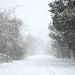 seagrove-ave-snow-12-26