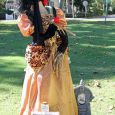 Scarecrow Alley 2012