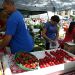 2011-strawberry-fest-039