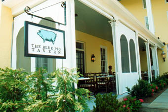bluepig2 bluepig2