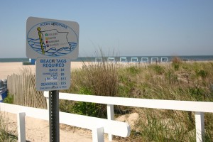 Steger's Beach stegers