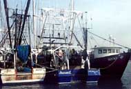 WFishingBoats WFishingBoats