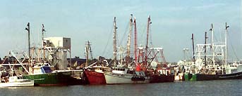 WFishingBoatsD1 WFishingBoatsD1