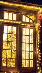 treeinwindow3 Fairthorne Cottage