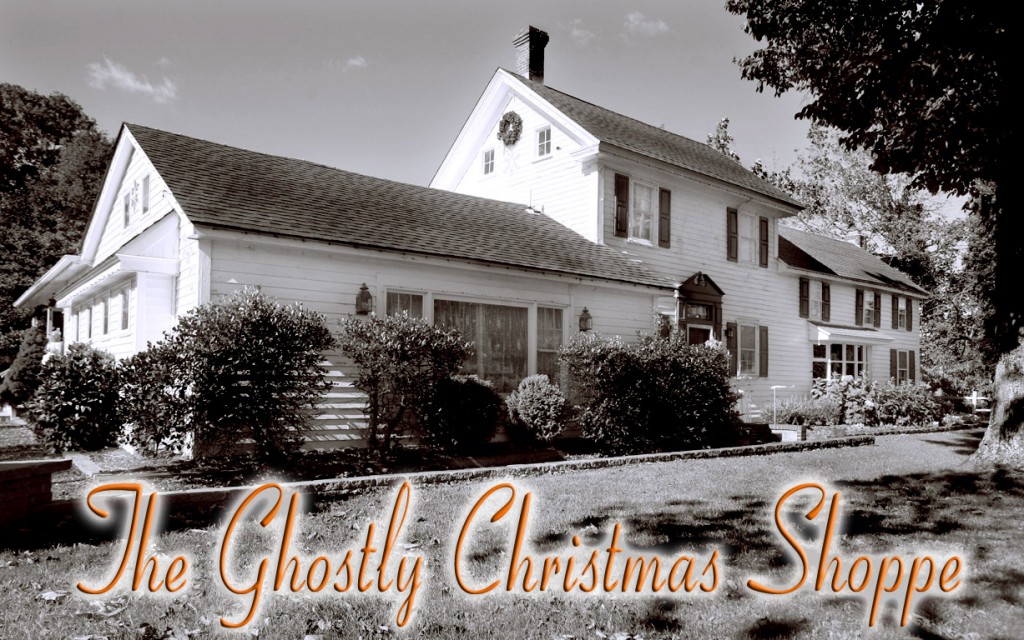 The ghostly Christmas Shoppe. A picture of the exterior of Winterwood in Rio Grande