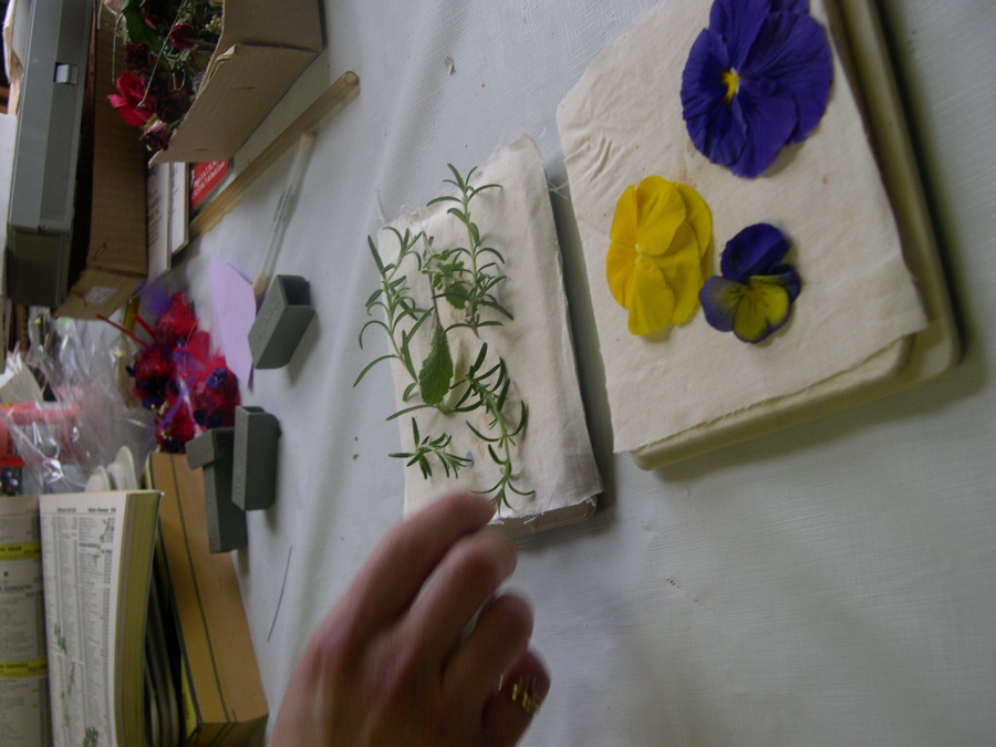 pressing flowers. High Tide