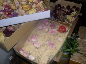 roses dried