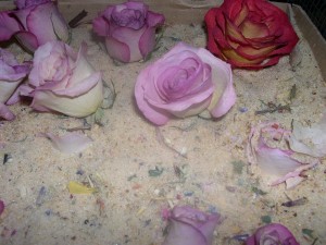 roses in silica