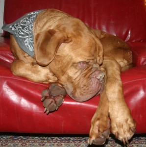 willis