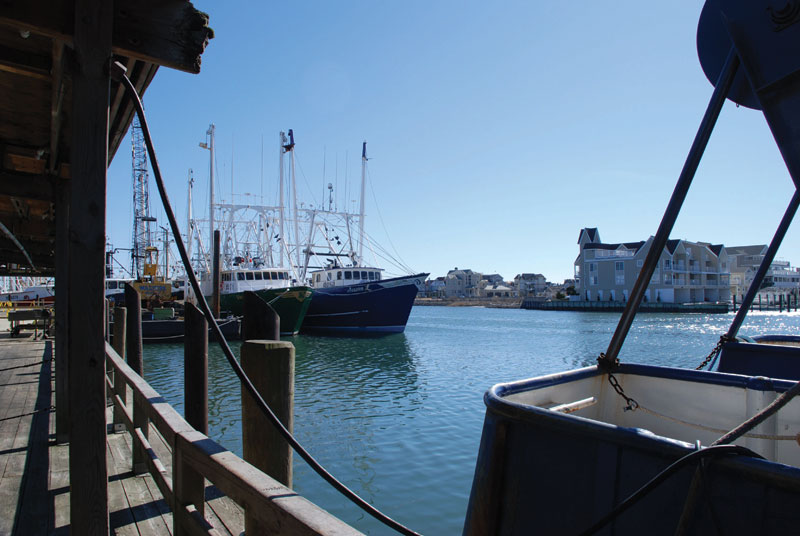 Where is Cape Island? Blog