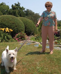 RFMrs&Pup