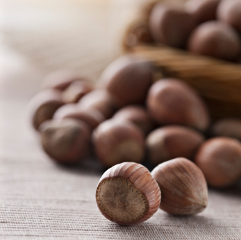 iStock_000012111740XSmall
