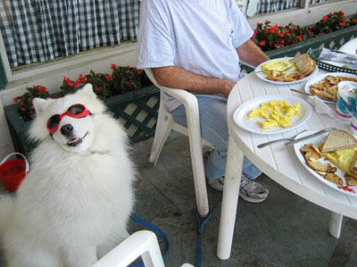 eatingatzoes