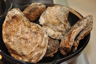 Oysters