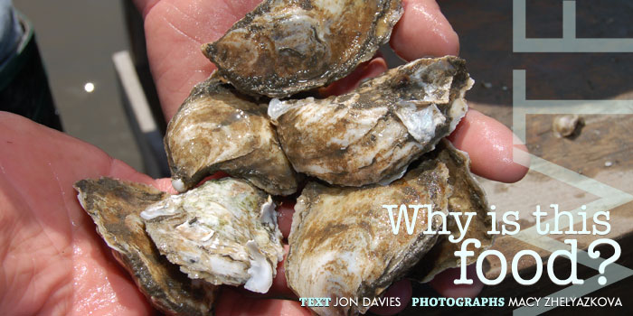 oysters