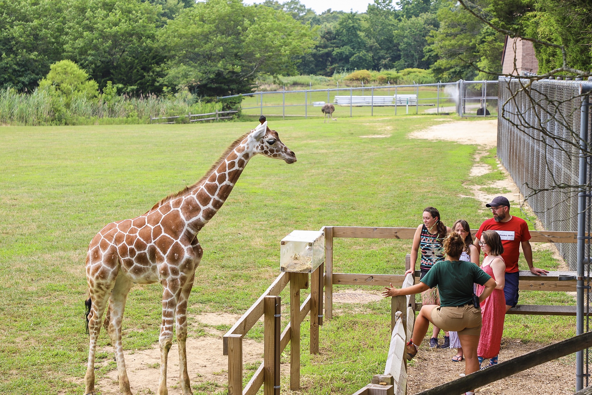 cape may ferry zoo trip