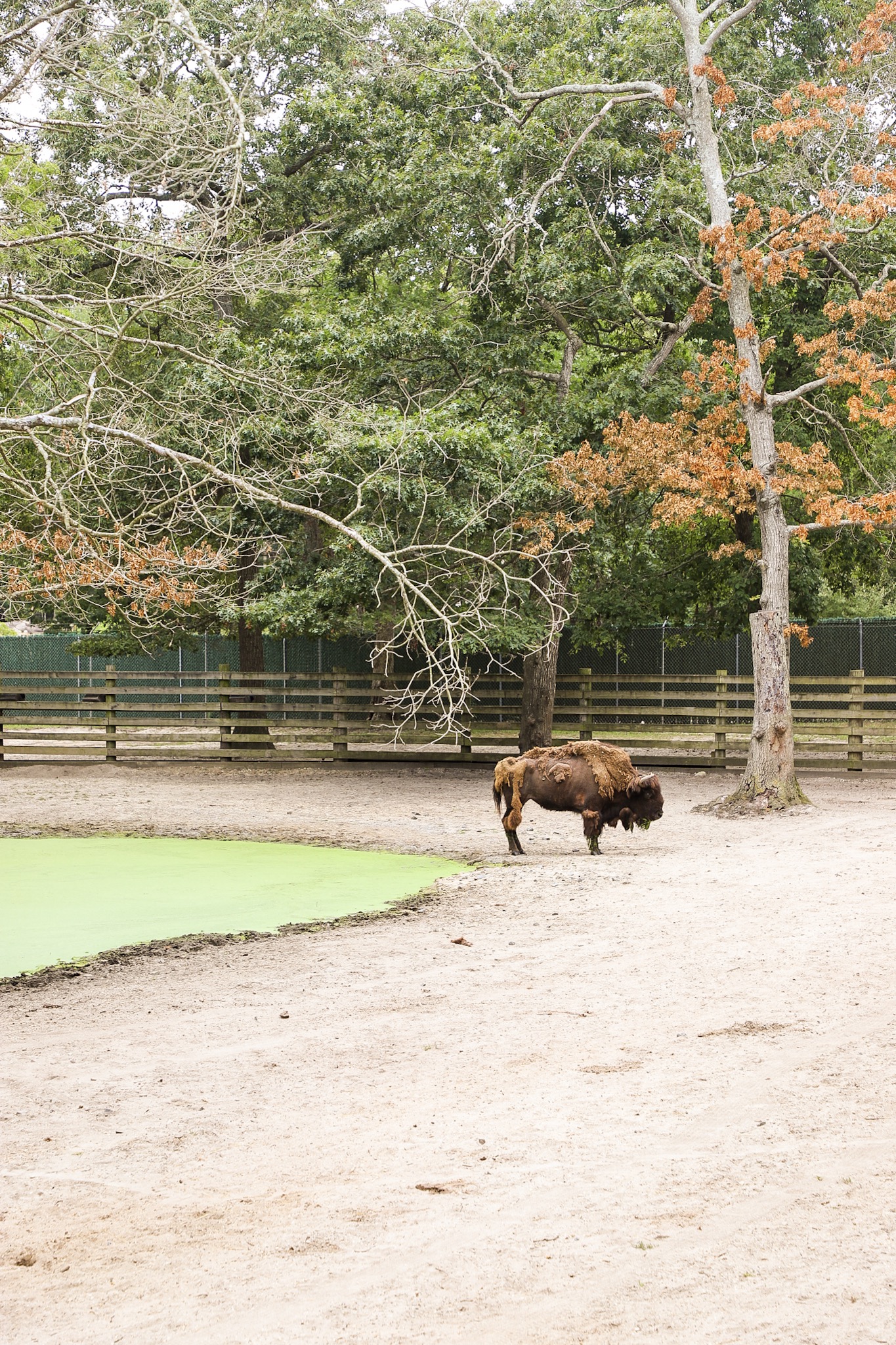 A Trip to the Cape May County Park & Zoo High Tide