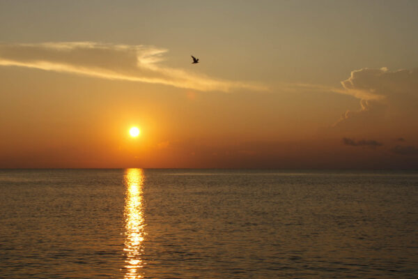 Sunset on the Bay