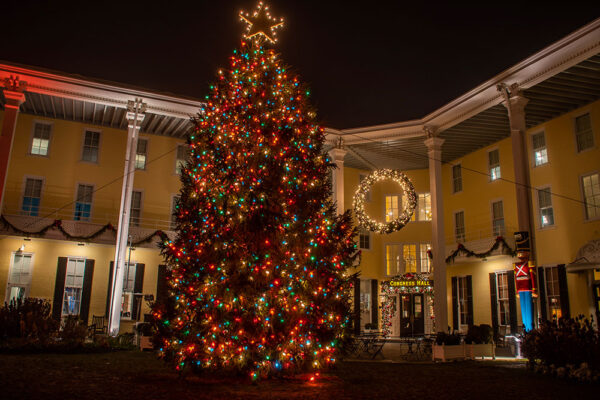 Christmas Tree on Congress Hall's great lawn