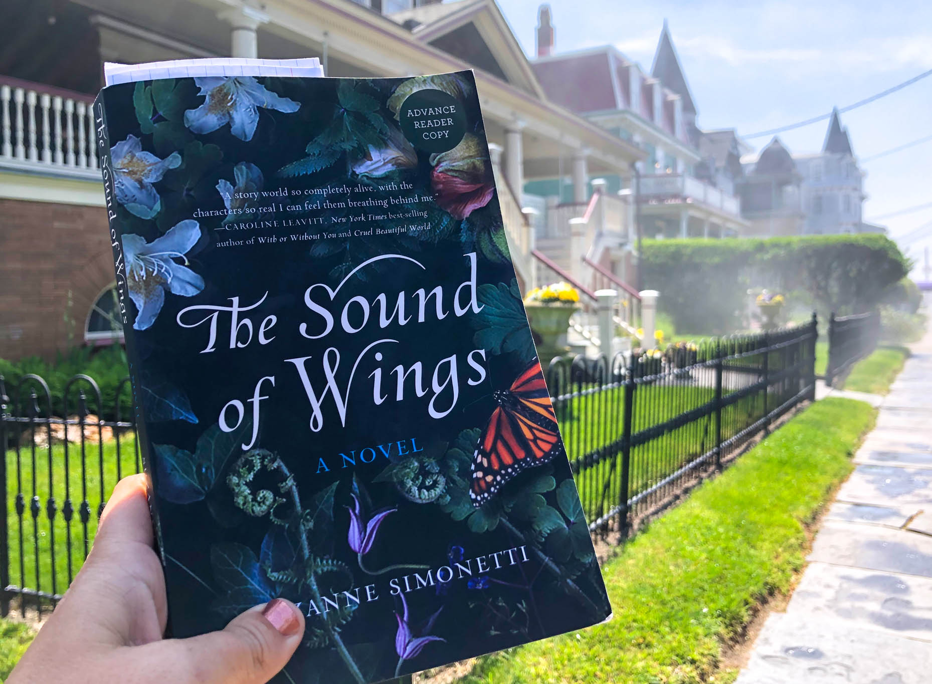 The fog burning off along Ocean Street and the book The Sound Of Wings