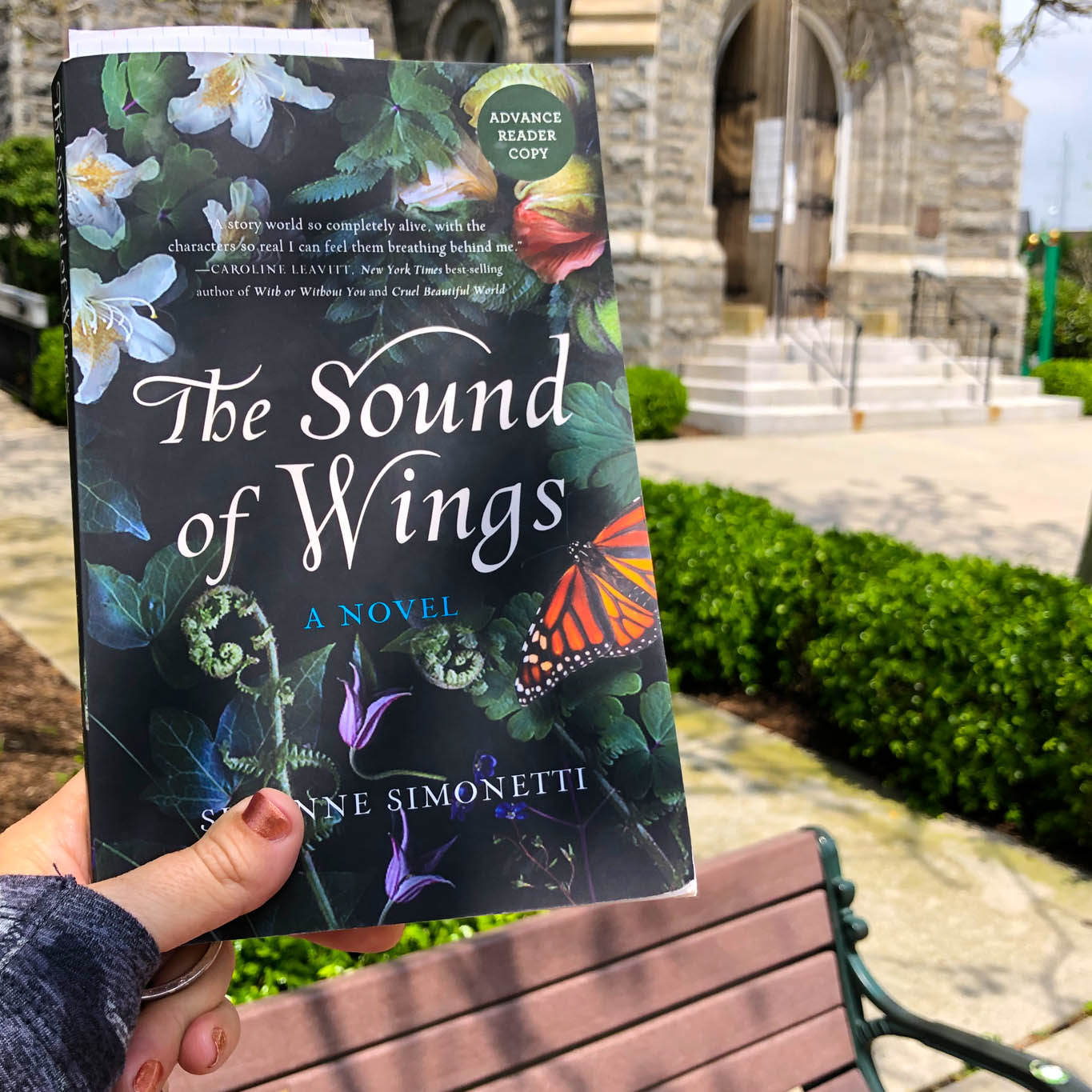 Looking at the book The Sound Of Wings with Our Lady Star of the Sea in the back.
