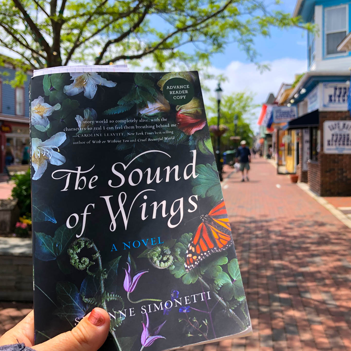 On The Washington Street Mall with The Sound Of Wings