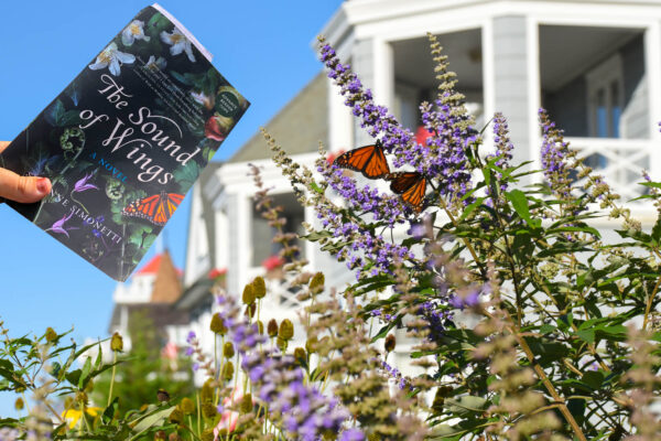 The Sound Of Wings book over a butterfly garden