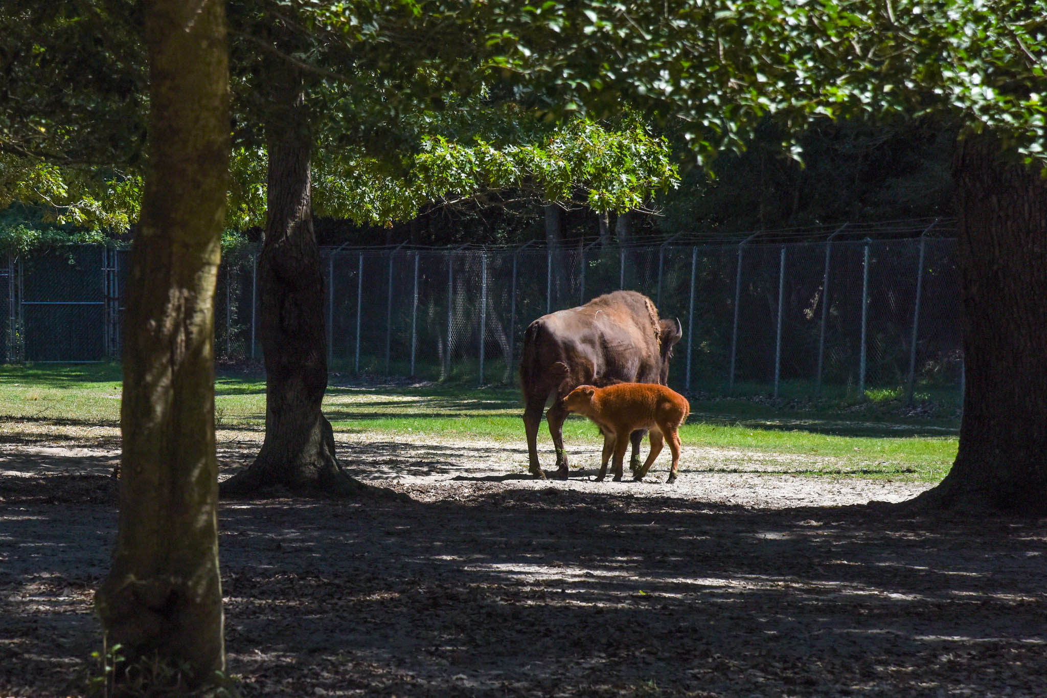 Mother Beverley and Baby.