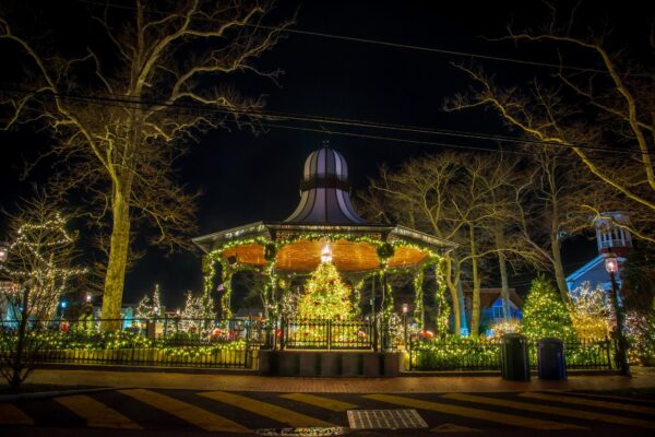The Christmas Tree at Rotary Park.