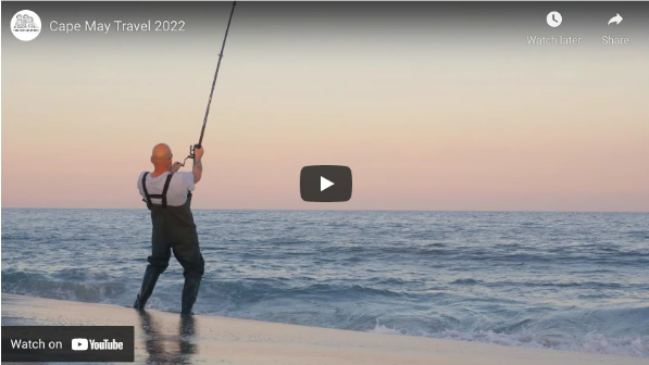 Youtube video screencap