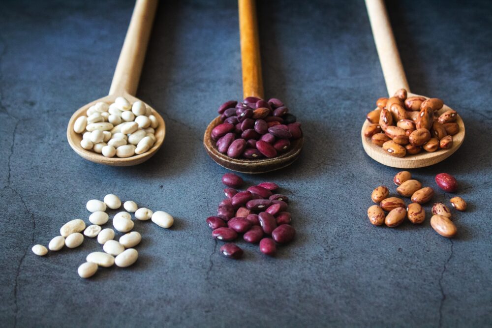 Three types of dried beans displayed on wooden spoons