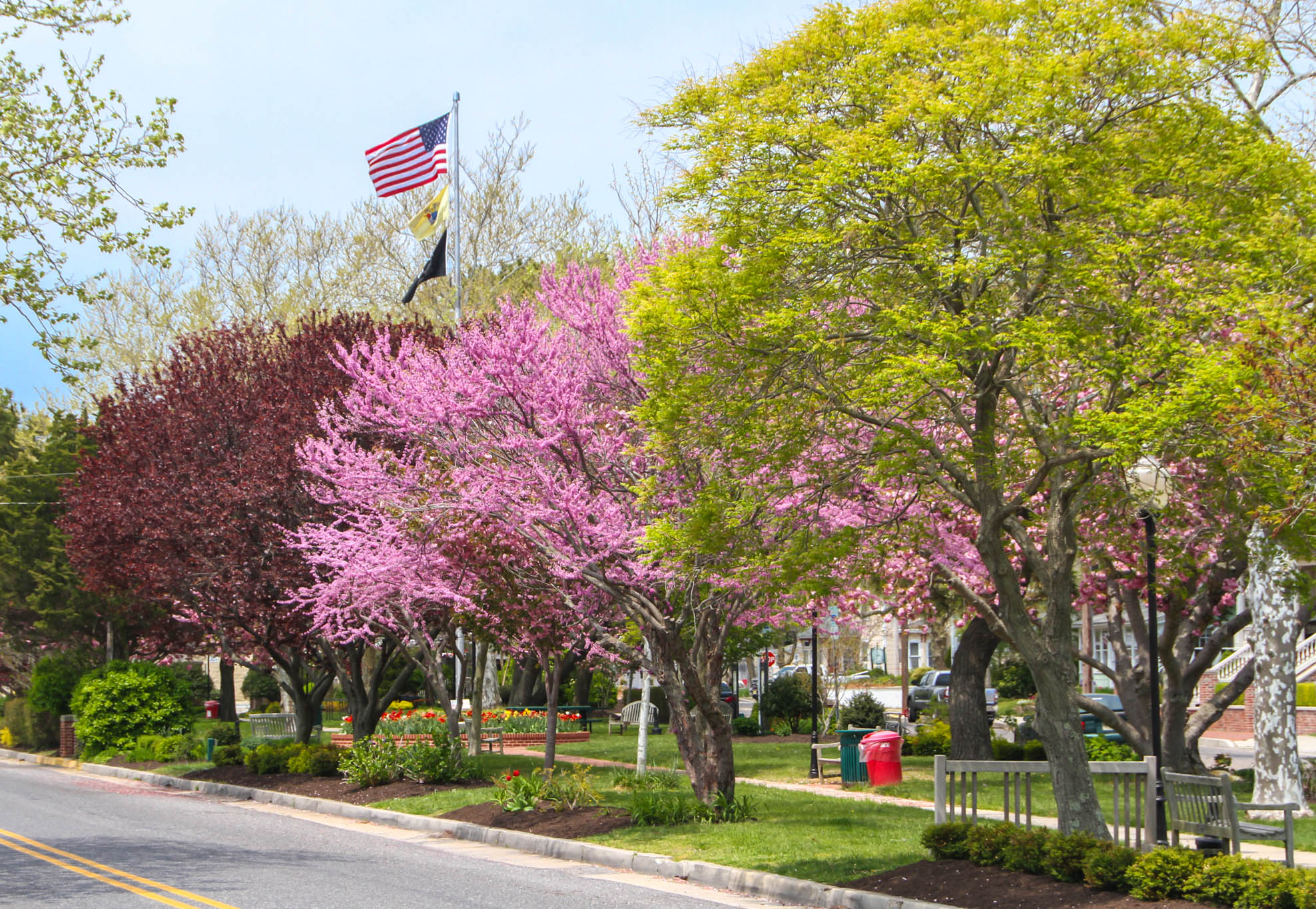 Wilbraham Park