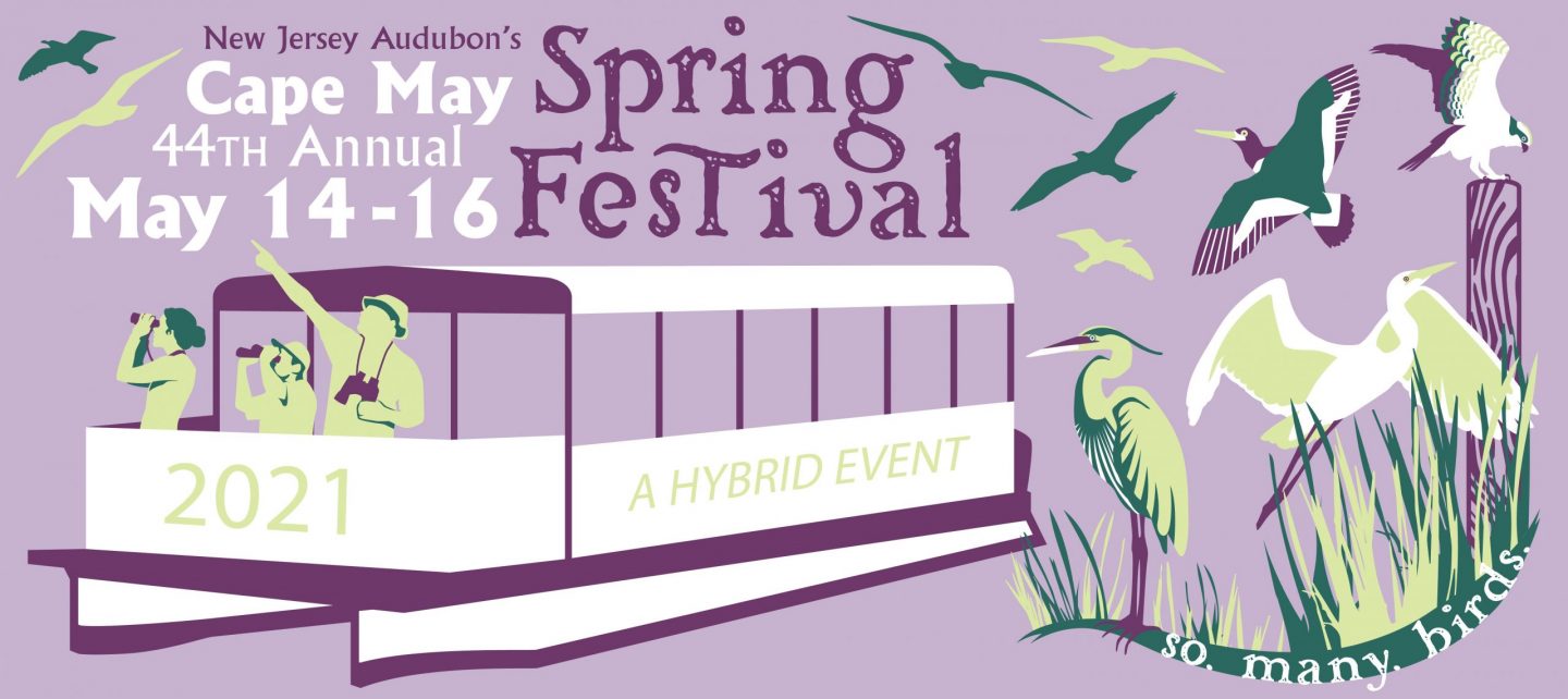 Cape May Spring Festival Events Calendar