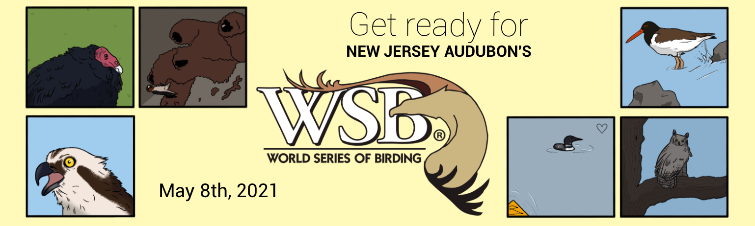 World Series of Birding