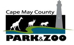 Cape May County Park and Zoo