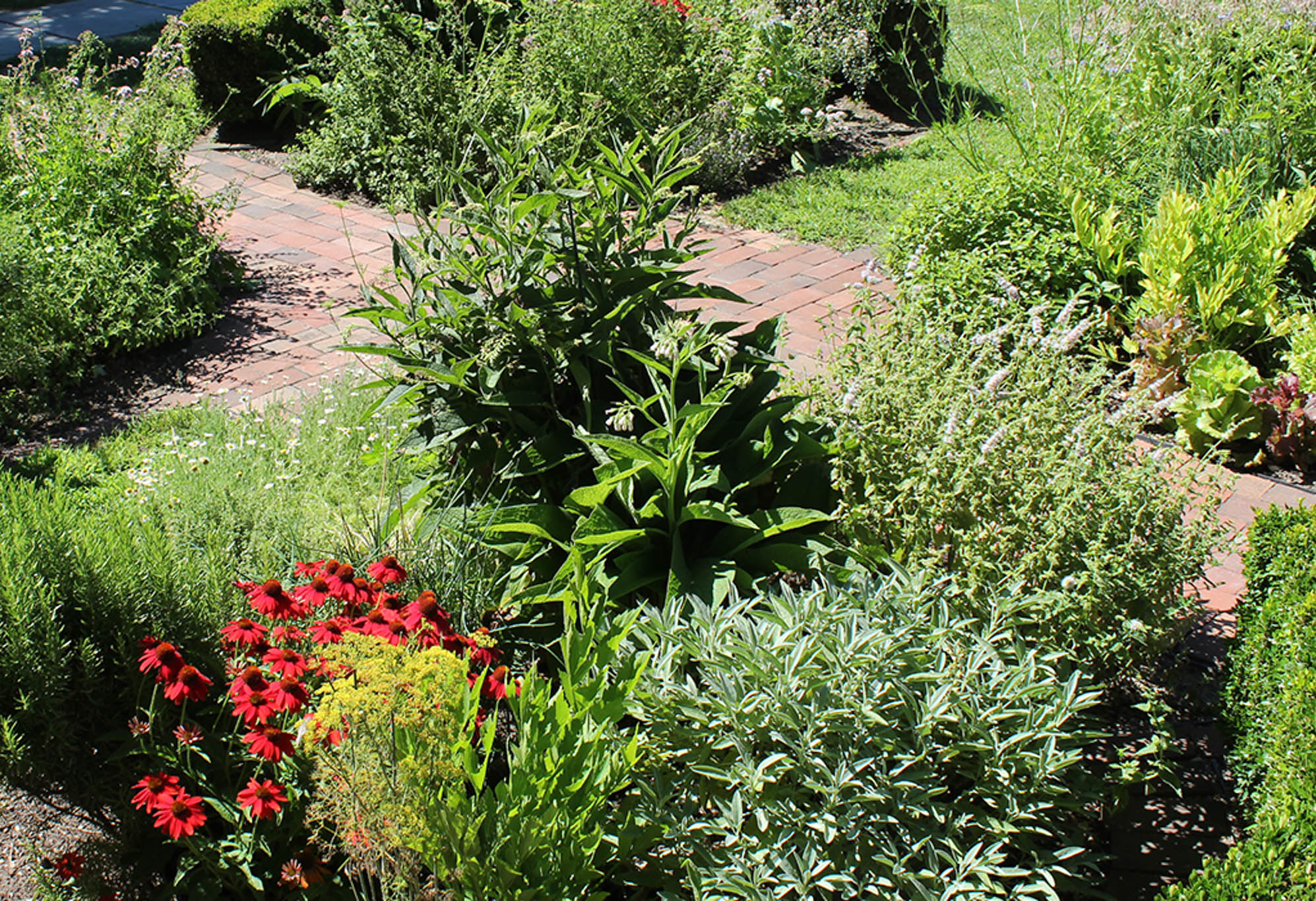 Garden-Tour-Header-from their page