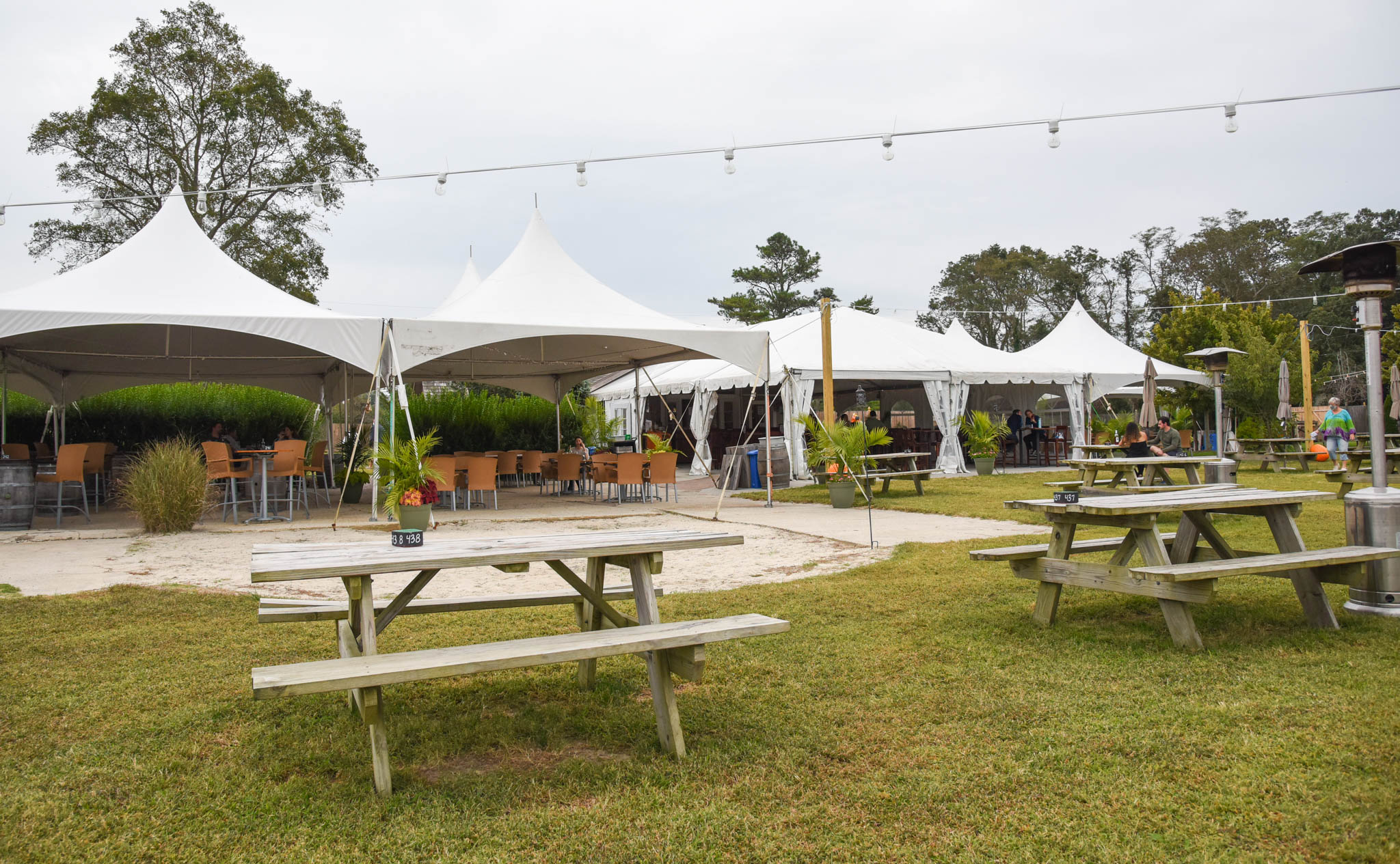 hawk haven vineyard by MLG