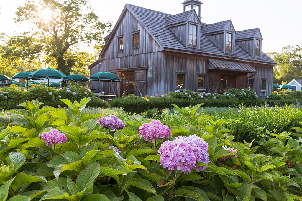 Beach Plum Farm