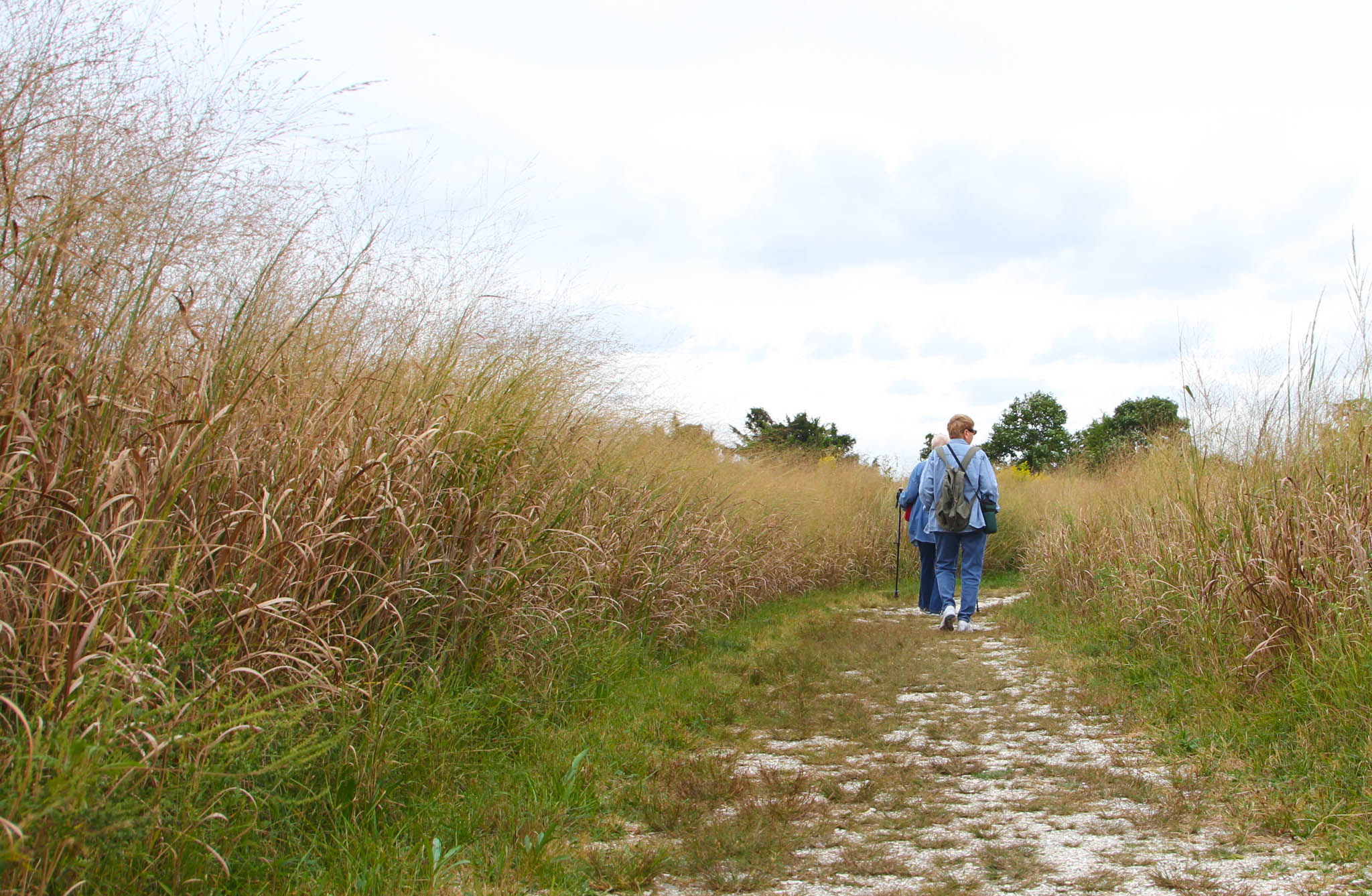 South Cape May Meadows