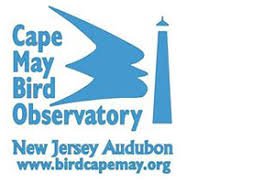 New Jersey Audubon - Cape May Bird Observatory