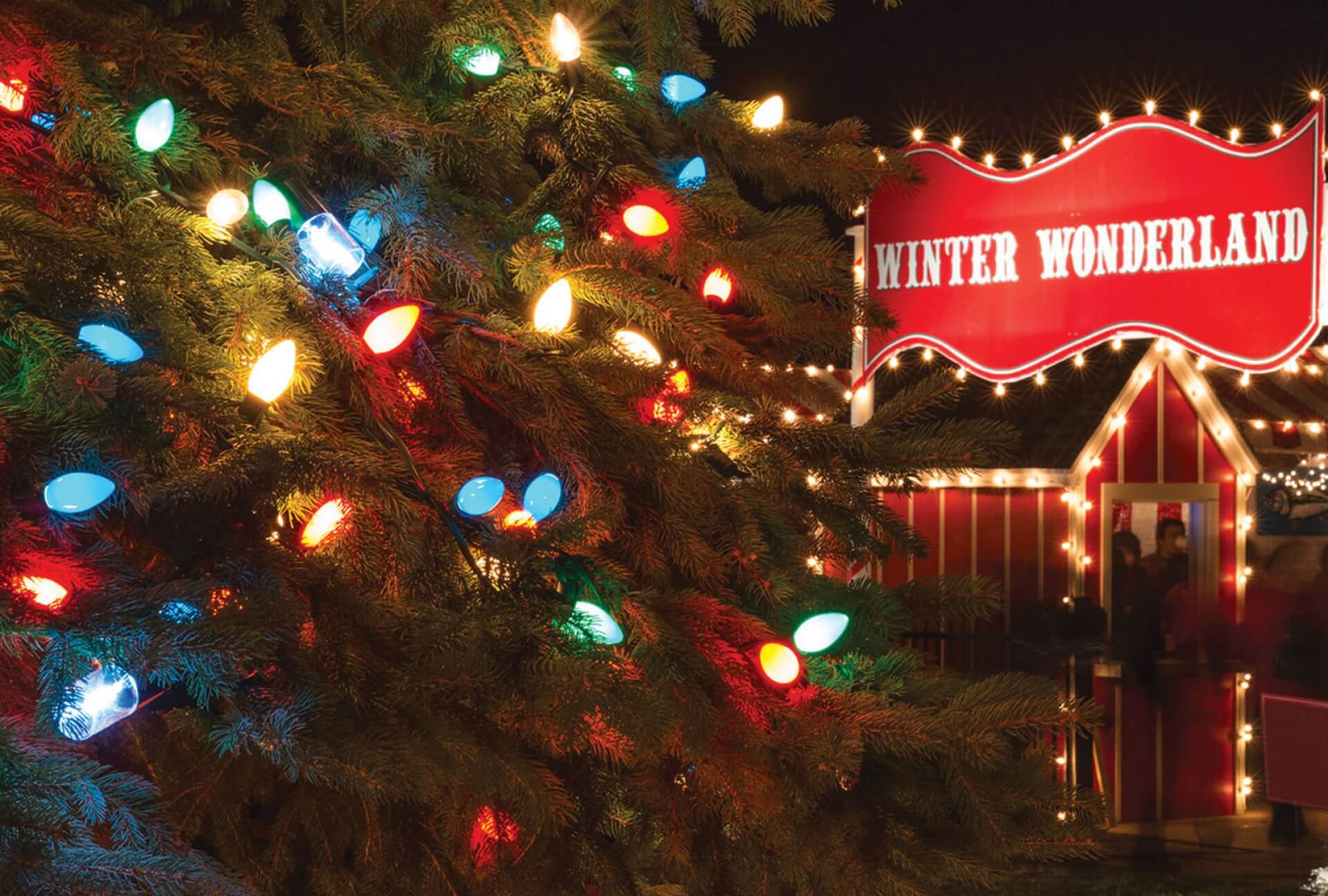 2022 Christmas Tree At Congress Hall Winter Wonderland At Congress Hall – Events Calendar