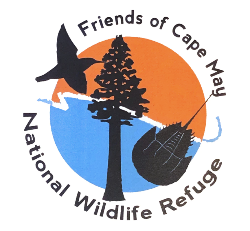 Friends of the Cape May National Wildlife Refuge, Two Mile Beach Unit